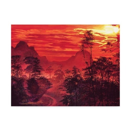 David Lloyd Glover 'Amazon Sunset' Canvas Art,24x32